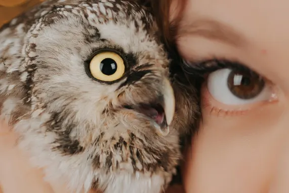 매치업 카지노 지원